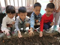 秋种一粒籽，静待冬来收--记团结桥分园“大带小”种植活动